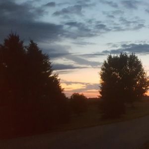 Meet your Posher, Ava